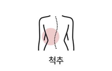 척추